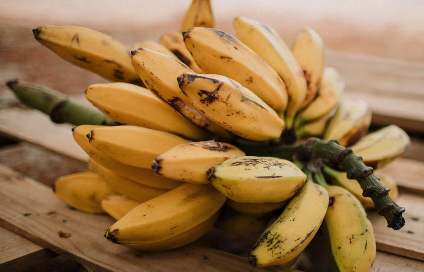 Imagén 1 cultivo banano Microfertisa