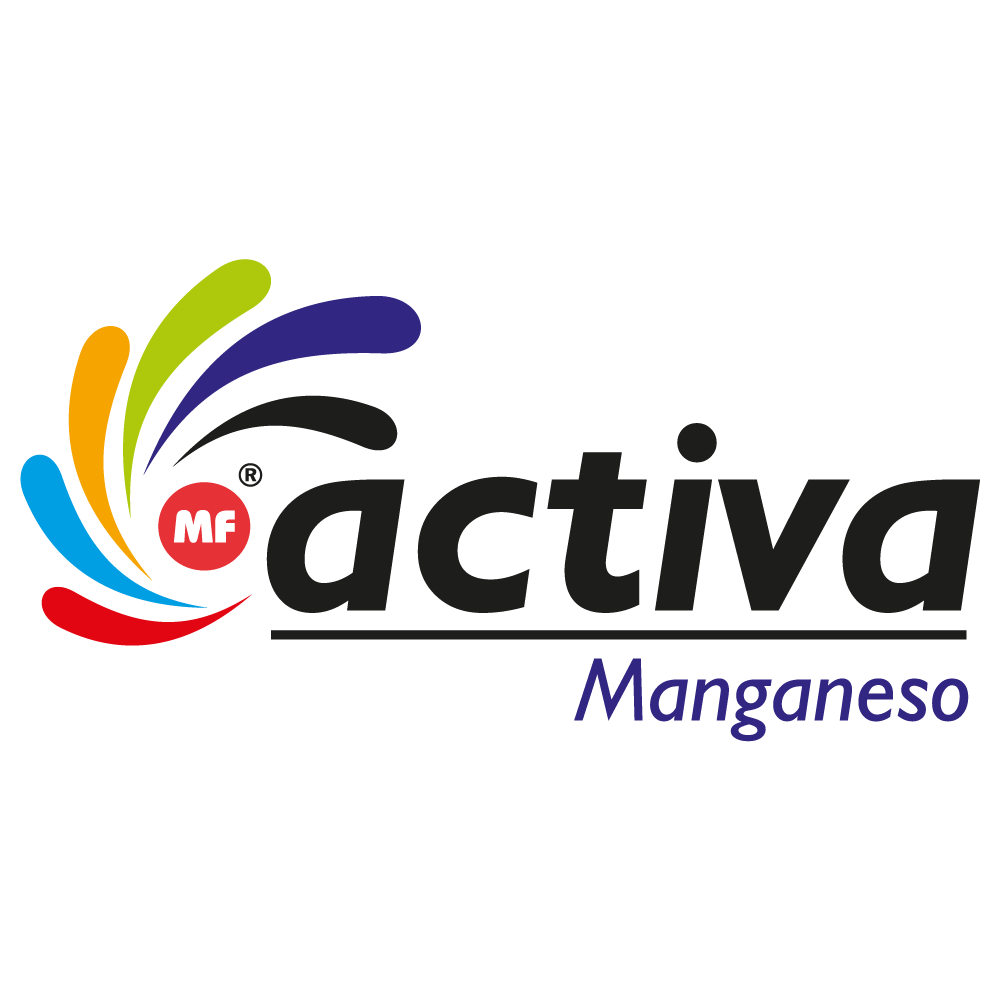 MF ACTIVA MANGANESO®