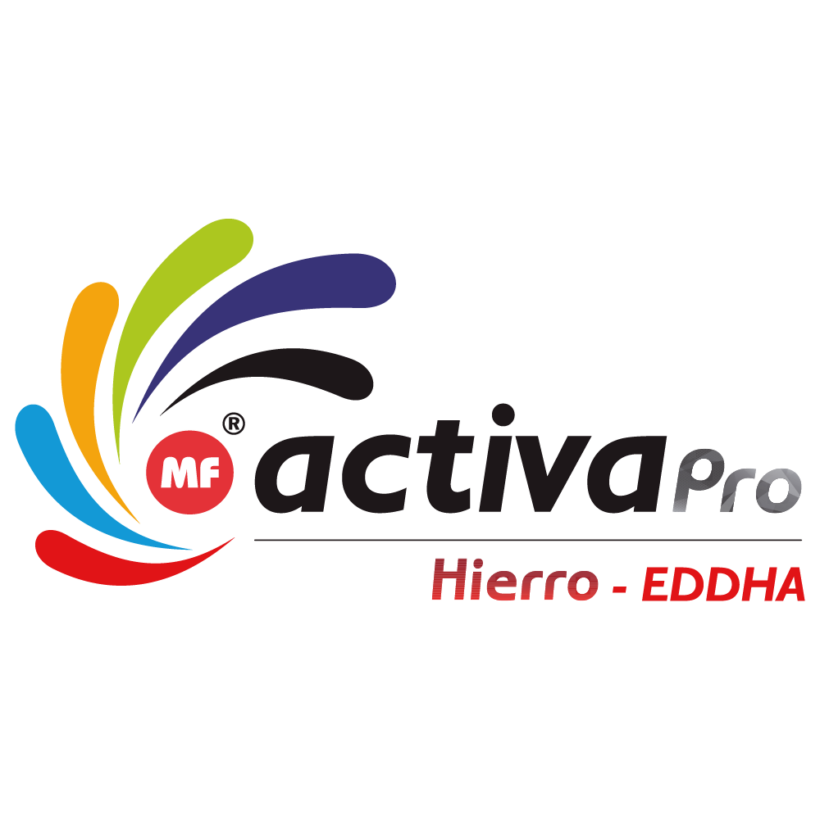 Filtro Aria Originale Oleo-Mac EFCO - Ricambio Per Attrezzi Da Giardino - Foto 6