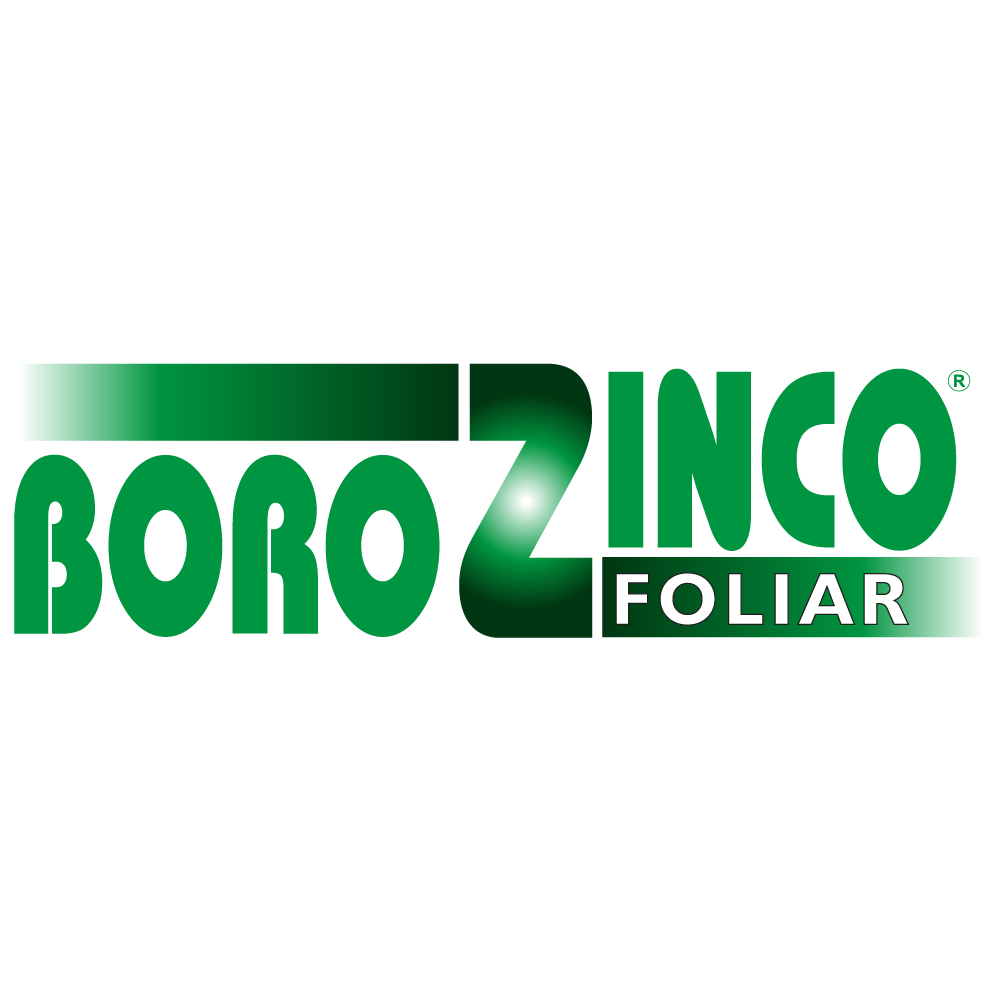 BOROZINCO FOLIAR®