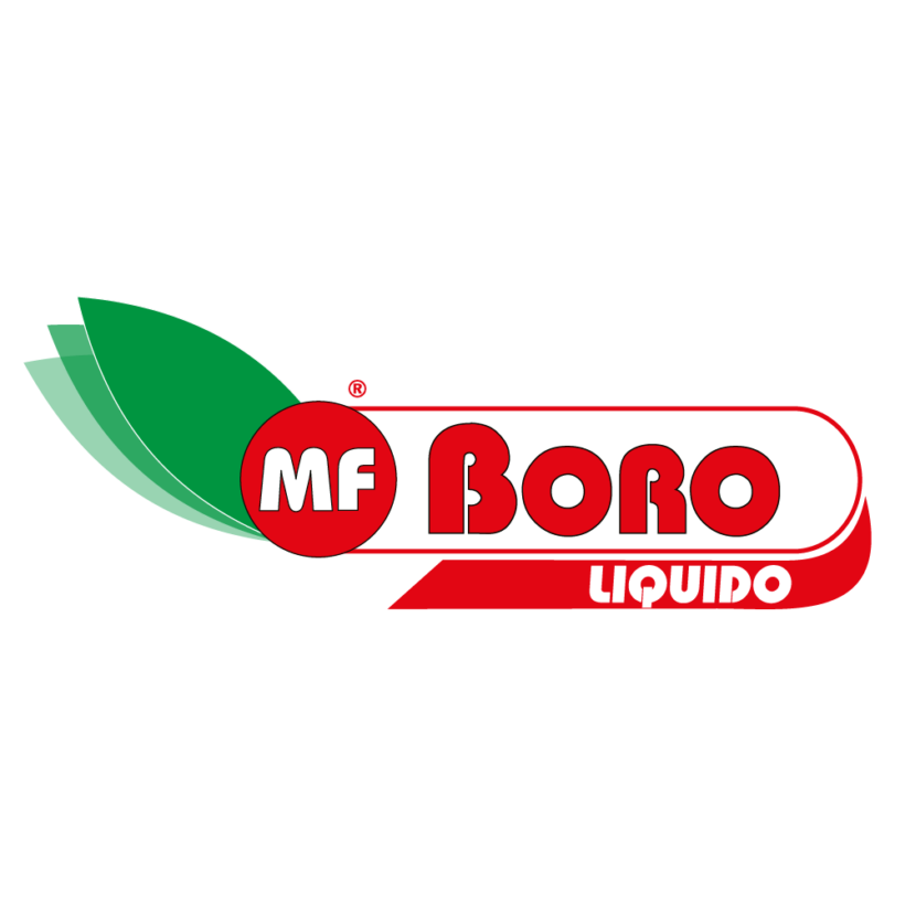 MF BORO LÍQUIDO® Microfertisa